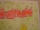 merels smilys